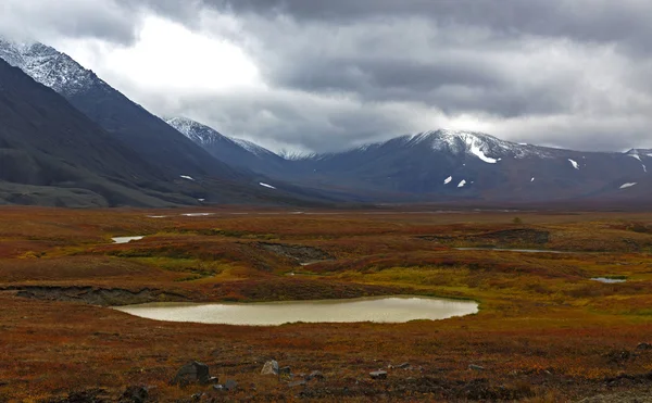 Kutup Urallar — Stok fotoğraf