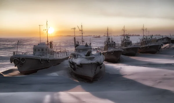 Navios no gelo — Fotografia de Stock