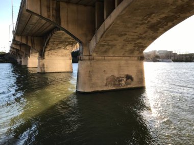 Austin Teksas Yarasa Köprüsü 