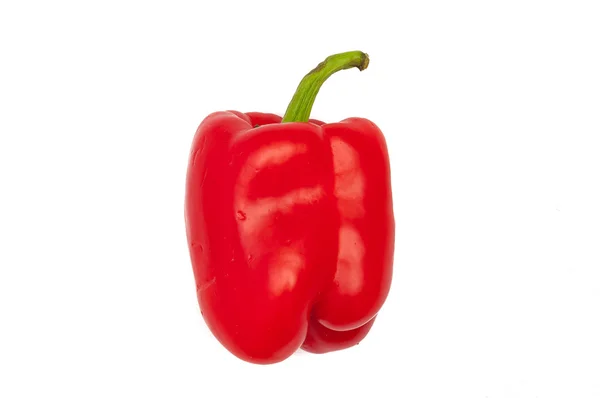 Roter Paprika isoliert auf weißem. Studioaufnahme mit frischem Gemüse. — Stockfoto