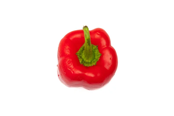 Red sweet pepper isolated on white. Fresh vegetable studio shot. Stock Picture