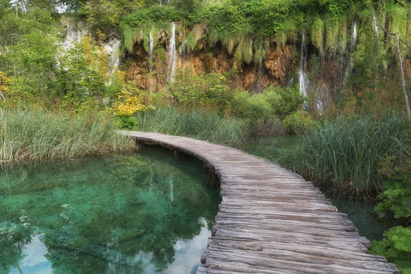 Φθινοπωρινό τοπίο Plitvice Lakes — Φωτογραφία Αρχείου