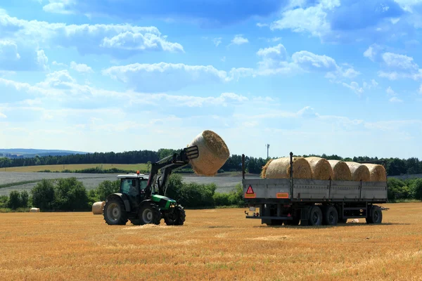 Tractor collecting hay bales in the fields