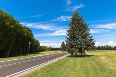 İşaretler bir park olan dar asfalt yol