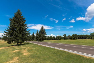İşaretler bir park olan dar asfalt yol
