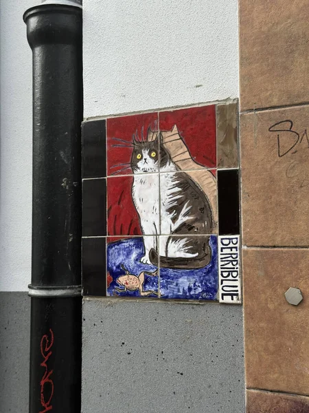 Varşova, Polonya - 24 Eylül 2025: Sokak sanatı duvar resmi, şehir manzarasını geliştiren parlak renkli ve sanatsal detaylara sahip bir kediyi tasvir ediyor