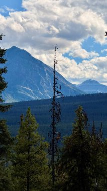 Uzun ağaçlar ve dramatik tepelerle çevrili, canlı yeşillikler ve açık bir gökyüzü olan bir dağ silsilesinin manzarası doğayı keşfetmeye ve takdir etmeye davet ediyor.