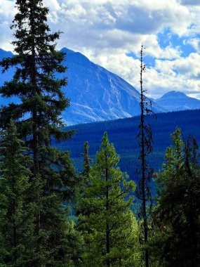 Kozalaklı ağaçlar görkemli dağların etrafında bulutlarla dolu mavi bir gökyüzü altında doğal bir çerçeve oluşturur.