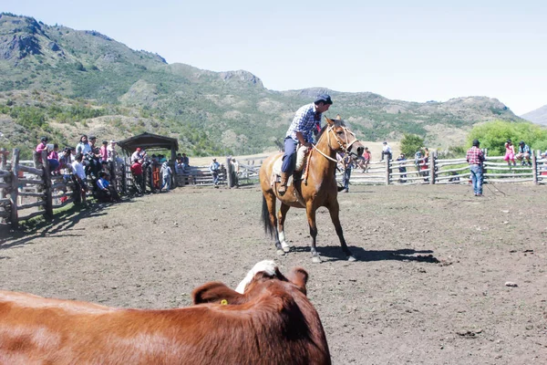 COCHRANE, ŞİLİ - 31 Ocak 2016: Ata binmeden önce Gaucho. Patagonya. Aysen Bölgesi. — Stok fotoğraf