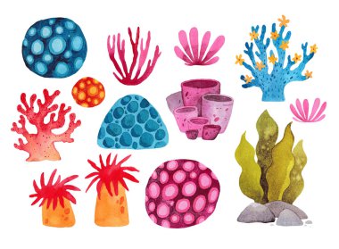 Sea corals painted in watercolor. Seaweed. Colorful corals and algae. Children's illustration. A large set of corals. Stickers. Green, blue, pink. clipart