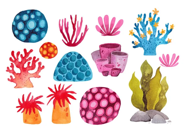 Sea corals painted in watercolor. Seaweed. Colorful corals and algae. Children\'s illustration. A large set of corals. Stickers. Green, blue, pink.