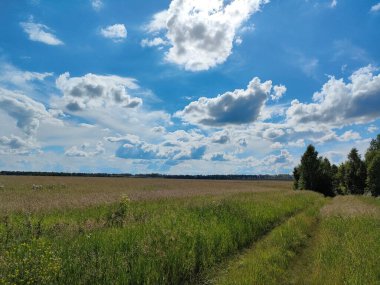 Rusya 'da yaz günü