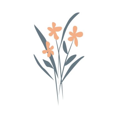 Yaprakları minimalist boho tarzında olan bir buket. Kitap kapağı için tasarım öğeleri, sayfa şablonu, baskı, kart, broşür, dergi, poster. Vektör