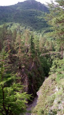 Sayan dağlarında doğa