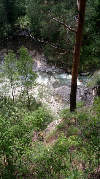 Natur Sajan Gebirge — Stockfoto