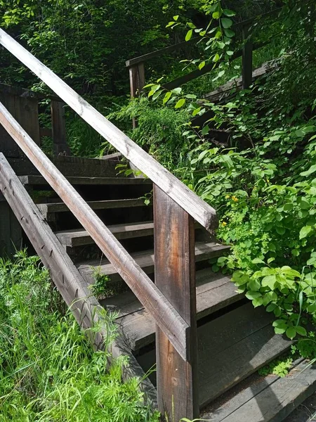 Wooden Stairs Leading Observation Deck — Stock Photo, Image