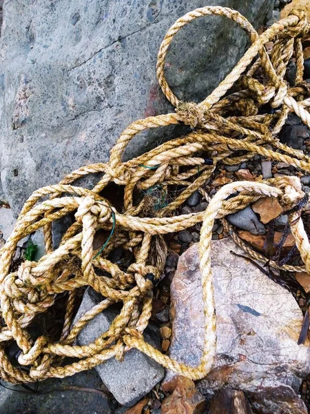 Rope Knots Seashore — Photo