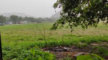 Güzel yağmur damlaları ve doğal yeşil ağaçlar 4k arkaplan görüntüsü