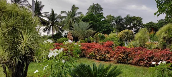 Bonito Parque Planta Flores Paisagem Fundo — Fotografia de Stock