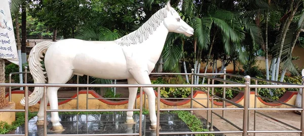 Güzel Bir Park Bitkisi Çiçek Manzarası — Stok fotoğraf