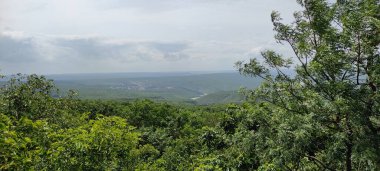 Doğal yeşil orman turizm arka planında seyahat ediyor.