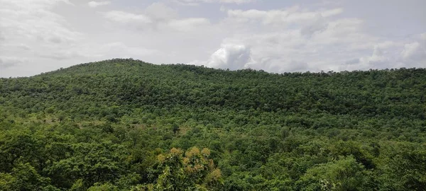 Natural Green Forest Outdoor Traveling Tourism Landscape Background — Stock Photo, Image