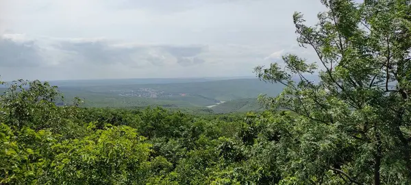 Doğal yeşil orman turizm arka planında seyahat ediyor.