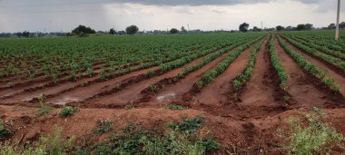 Açık hava görüntüsünü oluşturan güzel manzara tarımı