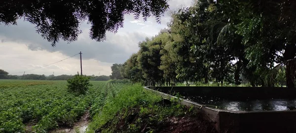 Açık hava görüntüsünü oluşturan güzel manzara tarımı