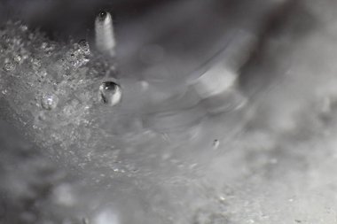 Makro fotoğrafçılık güzel masaüstü duvar kağıdı ve resim manzarası arka planı