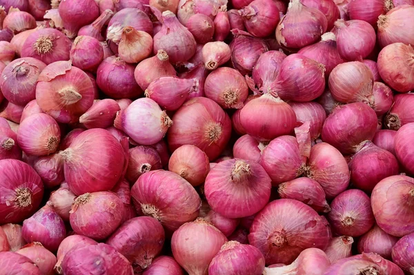 Tiro Completo Cebollas Rojas Cebollas Rojas Frescas Como Fondo — Foto de Stock