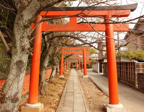 Осінь в Кіото, Японія — стокове фото