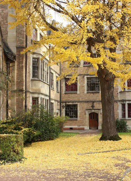 Park in Parijs, herfst. — Stockfoto