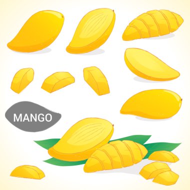 Mango çeşitli stilleri Vektör formatında kümesi