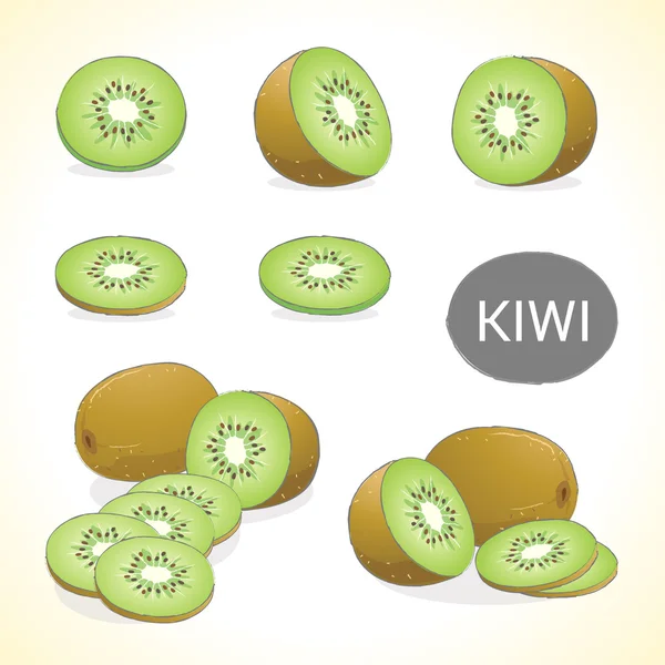 Ensemble de fruits kiwis dans différents styles format vectoriel — Image vectorielle