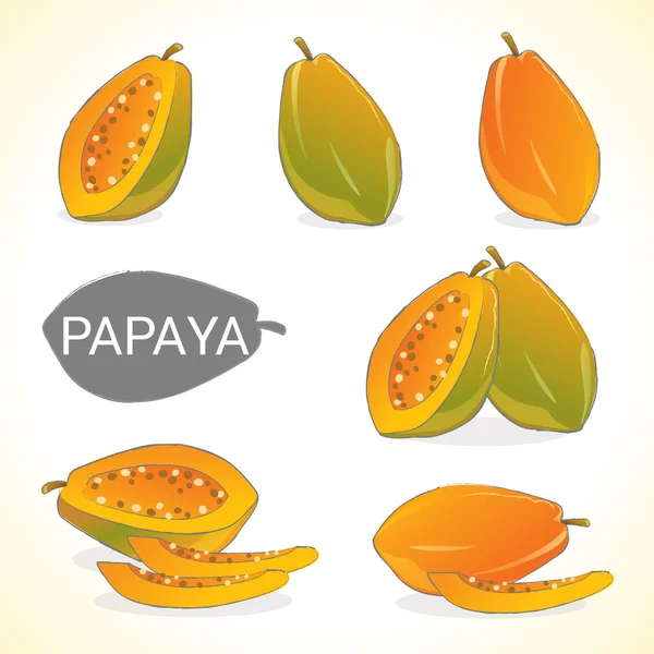 Conjunto de fruta de papaya en varios estilos de formato vectorial — Vector de stock