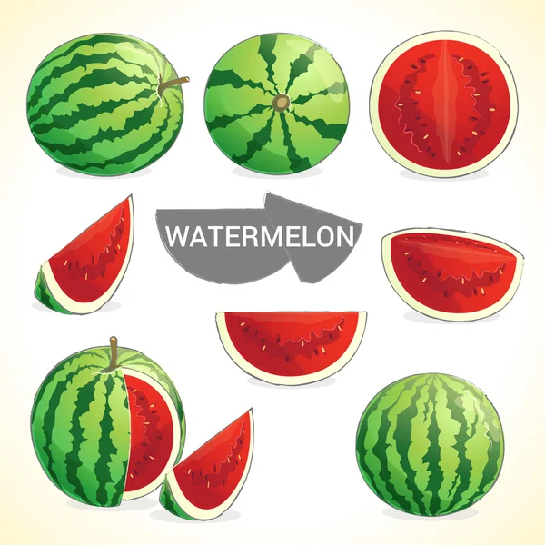 Aantal watermeloen in verschillende stijlen vector-formaat — Stockvector