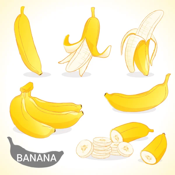 Zestaw bananów w różnych stylach formacie wektorowym — Wektor stockowy
