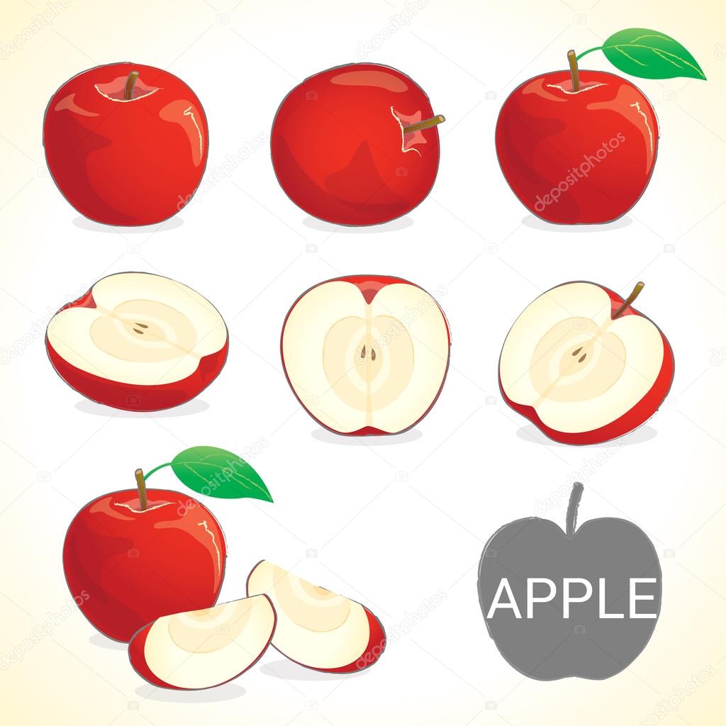 Set of apple fruit in various styles vector format