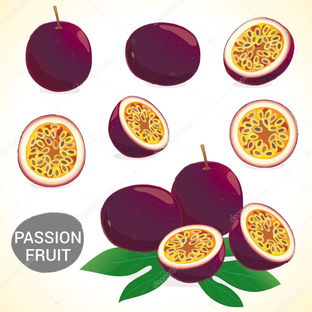 Set of passionfruit (passion fruit) in various styles vector format