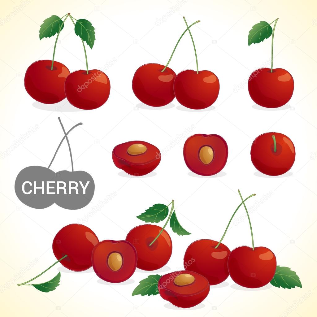 Set of cherry in various styles vector format