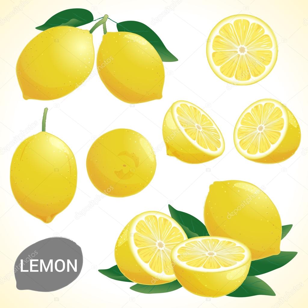 Set of fresh yellow lemon in various styles vector format