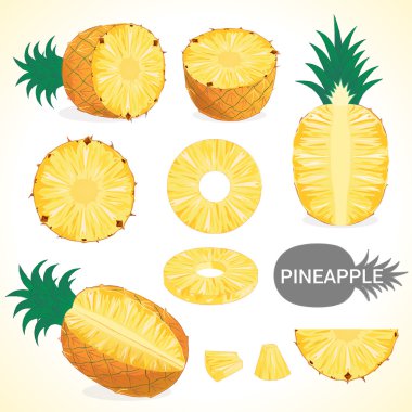 Set of pineapple fruit in various styles vector format clipart