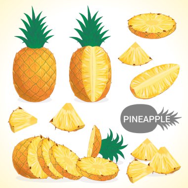 Ananas Meyve çeşitli stilleri Vektör formatında kümesi