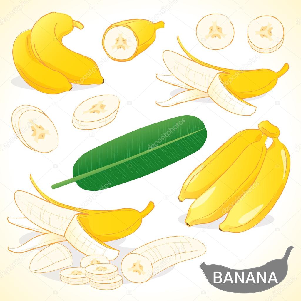 Set of banana in various styles vector format