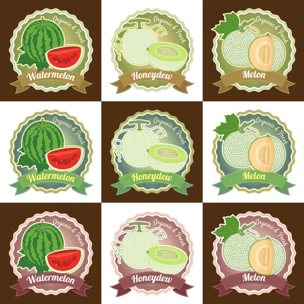 Set of various fresh melon fruit premium quality tag label badge — Stock Vector