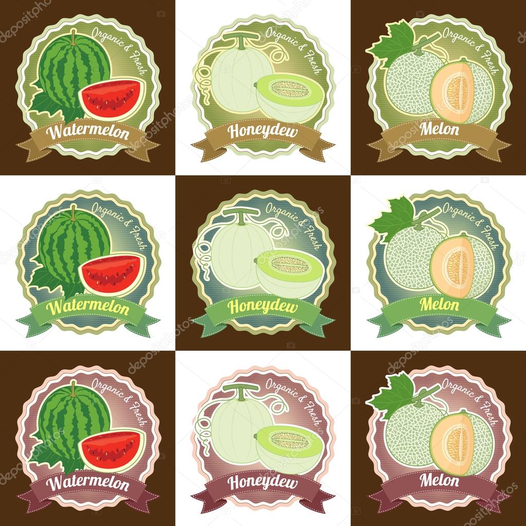 Set of various fresh melon fruit premium quality tag label badge