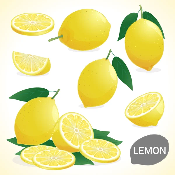 Conjunto de limão em vários estilos formato vetorial — Vetor de Stock