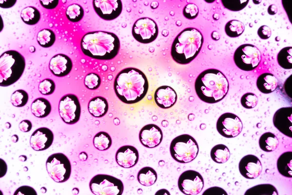 Padrão Primavera Textura Gotas Água Vidro Com Roxo Rosa Lilás — Fotografia de Stock