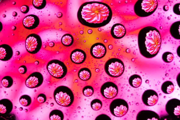 Padrão Primavera Textura Gotas Água Vidro Com Roxo Rosa Lilás — Fotografia de Stock